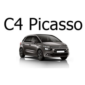 Grille pare-chien sur mesure Citroën C4 Picasso