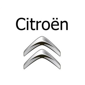 Grille pare-chien sur mesure Citroën