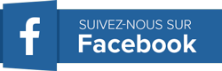 housse auto