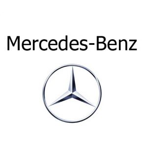 Grille pare-chien sur mesure Mercedes