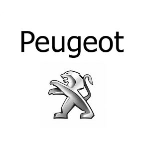 Grille pare-chien sur mesure Peugeot